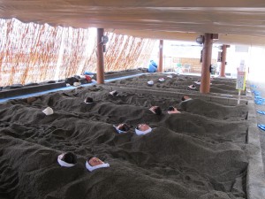 Ibusuki, hot sand baths