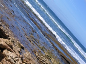 Bells Beach