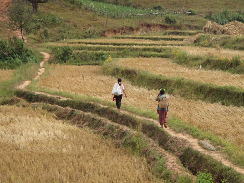 IMG_9381 Myanmar rice paddie and villagers
