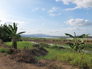 Mekong River west of Nong Khai