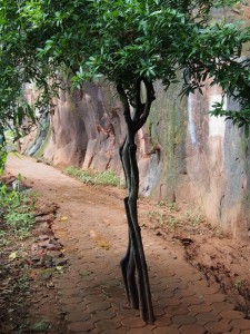 Wat Phu Tok