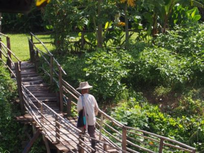 Mekong Motorcycle Diaries Day 6