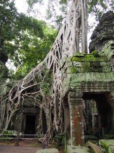 Ta Phrom