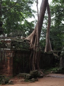 Ta Phrom