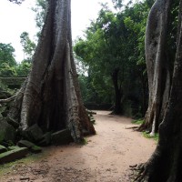 Angkor Wat Day Tour
