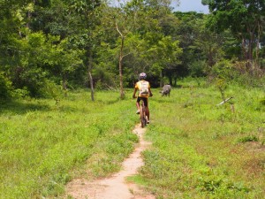 Beng Mealea