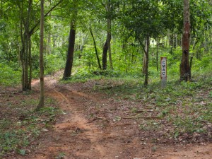 Beng Mealea