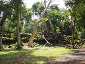 Beng Mealea