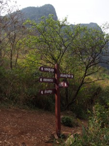 Doi Luang Chiang Dao