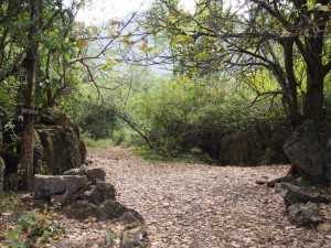 Doi Luang Chiang Dao