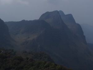 Doi Luang Dao Chiang