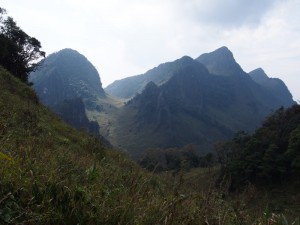 Doi Luang Dao Chiang