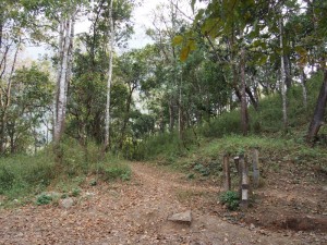 Doi Luang Chiang Dao