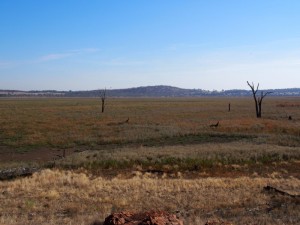 Winton Wetlands