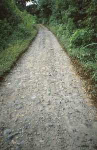 Crossing Mt Bromo,