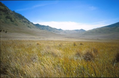 Crossing Mt Bromo, tengger crater