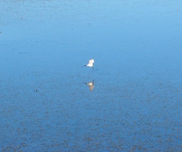 Winton Wetlands