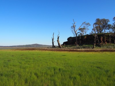 Winton Wetlands