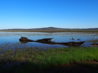 Winton Wetlands