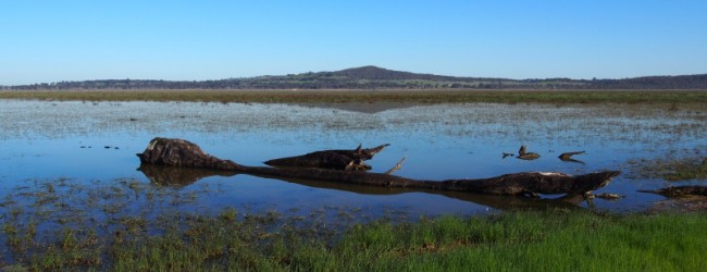 Winton Wetlands – Adding Water