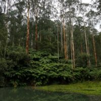 Otway Ranges