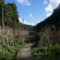 Otway Ranges